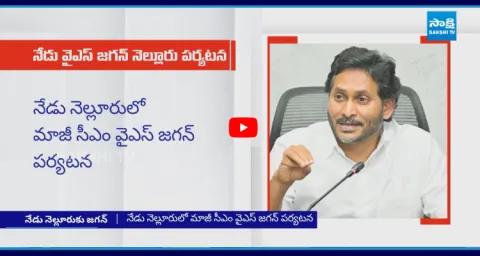 Chandrababu Govt Conspiracy On YS Jagan Nellore Tour