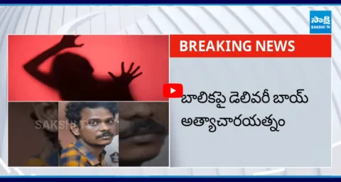 Vishakapatnam Delivery Boy Incident
