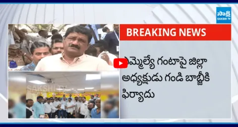 TDP Leaders Complaint On MLA Ganta Srinivasa Rao To Gandi Babji