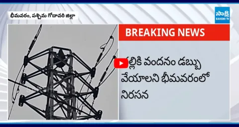 Man Protest Against Chandrababu Govt Over Thalliki Vandanam