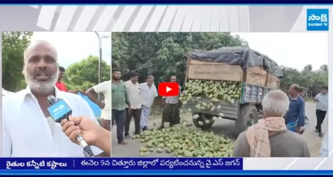 Farmer Emotional Words Slams Chandrababu6