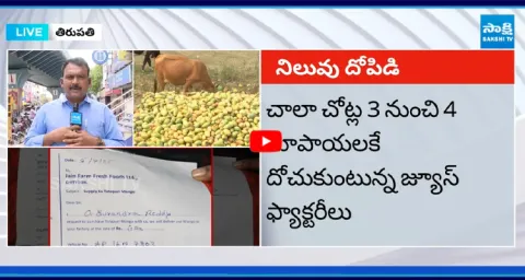 YS Jagan to Meet Mango Farmers in Chittoor 4