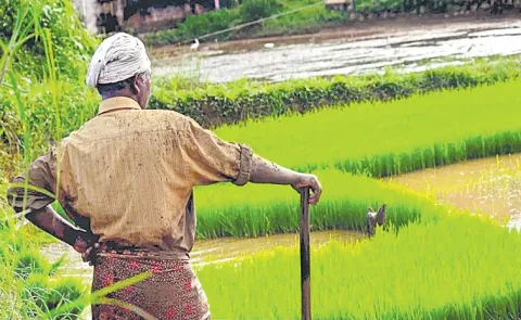 Investment of USD 75 bn needed for Indian farmers to adapt to climate change impact13