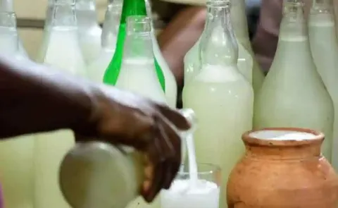 Adulterated Toddy Kalthi Kallu in Kukatpally News Latest