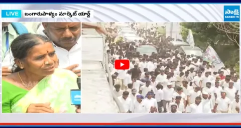 Are Chittoor Mango Farmers Being LEFT BEHIND by Chandrababu Govts New Rule