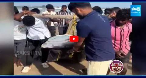 500 KG Big Fish Caught In Net At Anakapalli