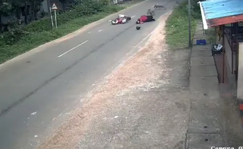 Caught on CCTV: Woman injured after wild boar collides with her scooter