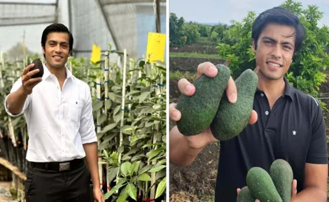 Meet This Young Farmer Grew Avocados on Barren Land in Bhopal, Turns into 1 Cr Business
