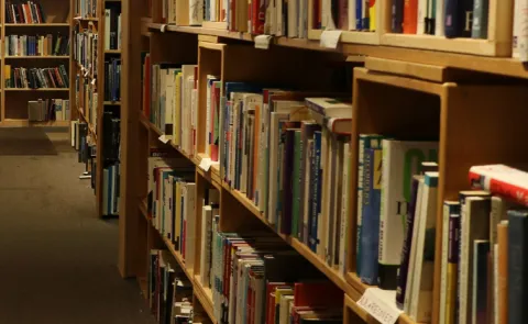 National Library Day 2025 importance of books