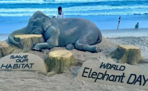 World Elephant Day 2025: Sudarshan Patnaik Special Sand Art