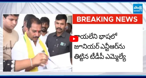 TDP MLA Daggubati Prasad Sensational Comments On Jr NTR