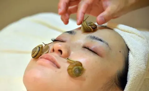 Beauty Tips: Snail slime benefits For Human Skin care