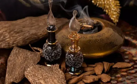 It not gold but this tree produces something expensive agarwood