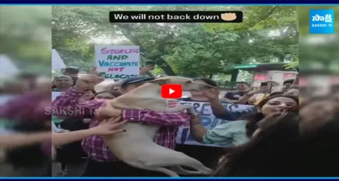 Dog Lovers Protesting Against SC Order On Stray Dogs