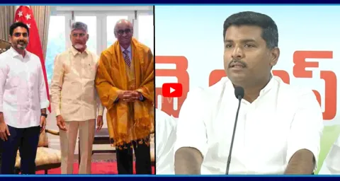 Gudivada Amarnath Comments On Chandrababu And Nara Lokesh Singapore Tour