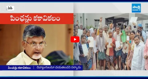 Chandrababu Government Notices On Pensions Of The Disabled