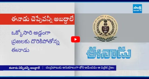 Eenadu False News Exposed On GST Collections