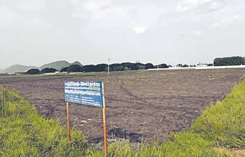 TDP leaders have their eyes on endowment lands