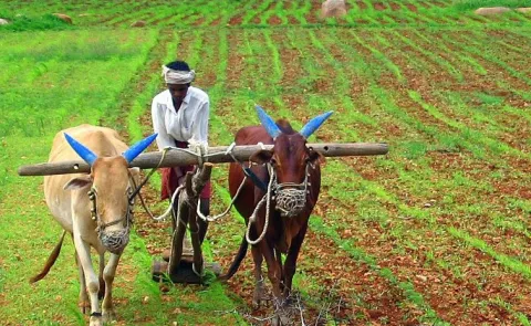 Land distribution In India  special story