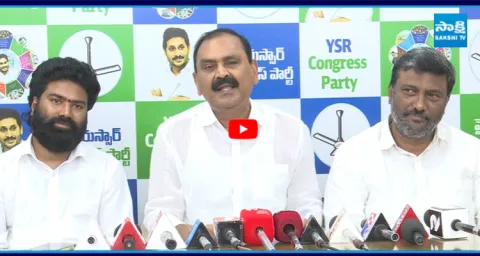 Bhumana Karunakar Reddy Imitates TTD Chairman BR Naidu