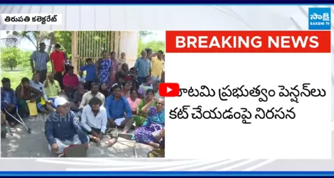 Disabled People Protest Against Pensions Cut in Tirupati