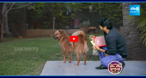 Garam Garam Rajesh Hilarious Conversation With Street Dogs5