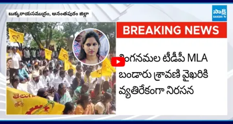 TDP Leaders Protest Against MLA Bandaru Sravani