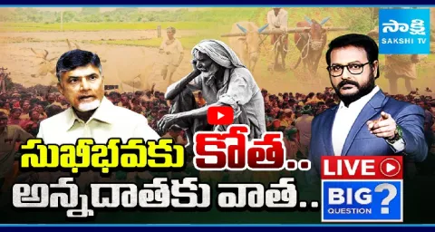 Chandrababu Comments On Annadata Sukhibhava Scheme