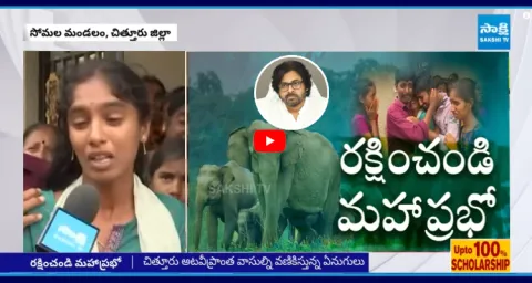 Victim Family Fire On Pawan Kalyan Over Elephant Attack