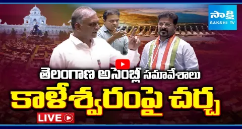 Watch Live Telangana Assembly Sessions 2nd Day