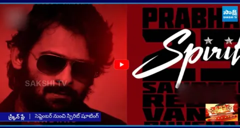 Bollywood Predicts Prabhas Spirit Will Break All Pushpa Records5