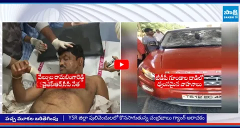 TDP Goons Atrocities In Pulivendula