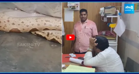 Snake At Wardhannapet Area Hospital