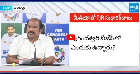 TJR Sudhakar Babu Shocking Comments On Chandrababu
