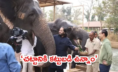 SIT Submits Sealed Report to Supreme Court on Vantara