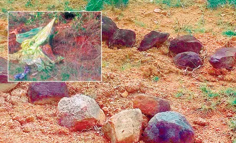 incident of dead bodies found in Chittadavi forest in Tirupati