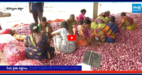 Rayalaseema Farmers Fire On Chandrababu Over No Price for Crop