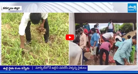 Farmers Plowed Onion Crop For No Support Price