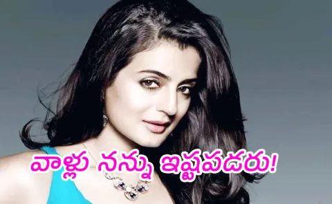 Amisha Patel Sensational Comments On Bollywood Industry