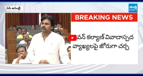 Pawan Kalyan Controversy Comments On People In Assembly