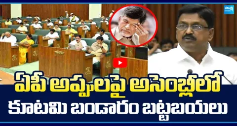Chandrababu Govt Debt Exposed In AP Assembly