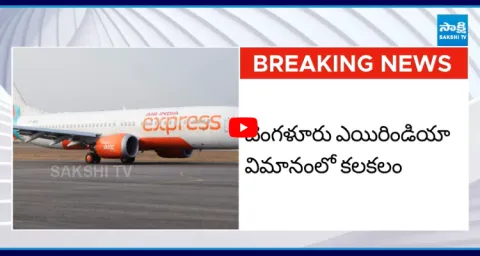Air India Plane Passenger Tries To Enter Cockpit While Looking For Toilet