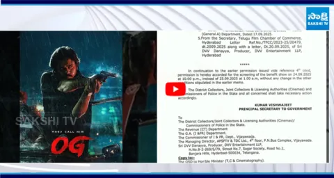 Chandrababu Government Released Special G O For Pawan Kalyans OG Cinema