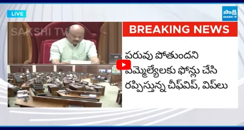 MLAs Absent To Assembly For Pawan Kalyans OG Movie