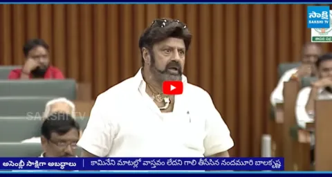 Chiranjeevi Vs Balakrishna War