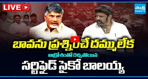 Certified Psycho Balakrishna Comments On YS Jagan And Chiranjeevi