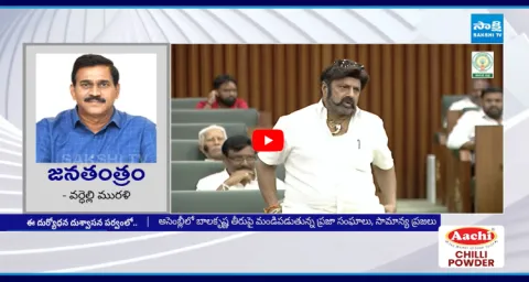 MLA Balakrishna Harsh Comments On YS Jagan And Chiranjeevi In Assembly