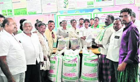 సబ్సిడీ విత్తనాలు వినియోగించుకోవాలి