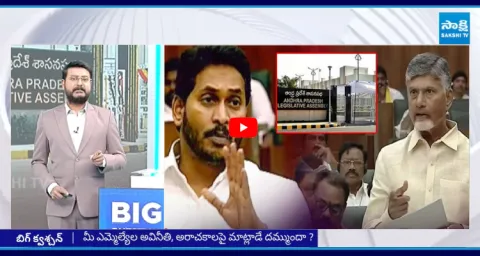 Big Question Special Debate On YSRCP Mass Counter To Chandrababu Challenge
