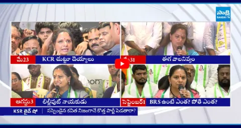 MLC Kavitha Sensational Comments On BRS Party Leaders
